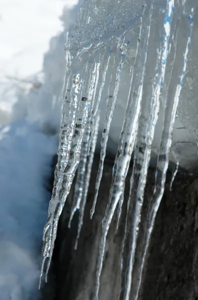 Güneşli bir günde uzun buz sarkıtları — Stok fotoğraf