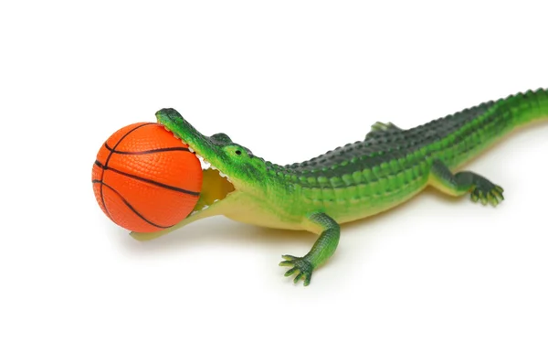 Crocodile with basketball isolated on white — Stock Photo, Image