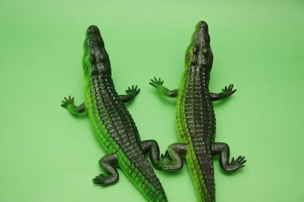 Dos cocodrilos sobre fondo verde — Foto de Stock