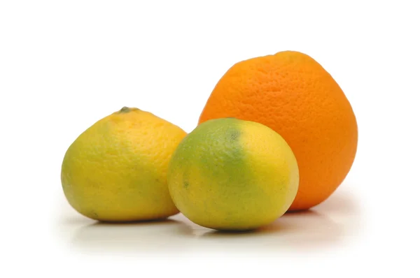 Oranje en twee mandarijnen geïsoleerd op wit — Stockfoto