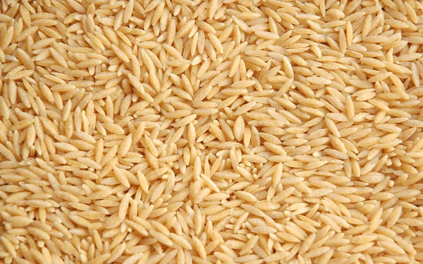 Reiskörner als Hintergrund arrangiert — Stockfoto