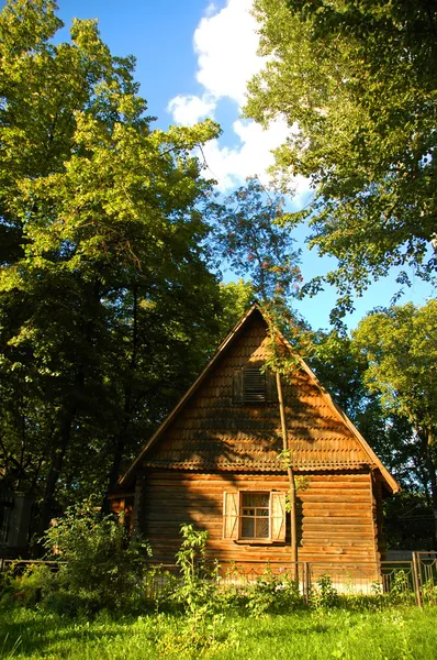 Деревянный домик в лесу летом — стоковое фото