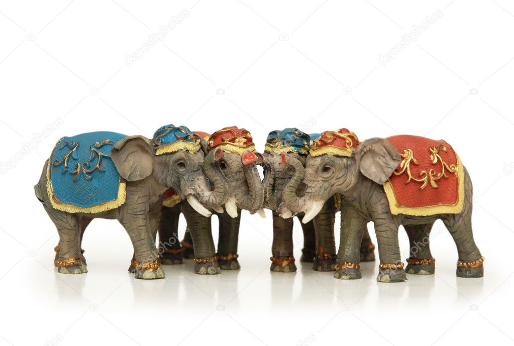Four elephants isolated on the white background