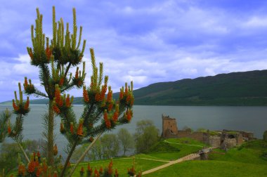 Urquhart Castle, Loch Ness, Scotland clipart