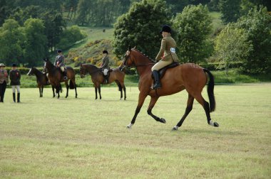 Horses at dressage tests in the park clipart