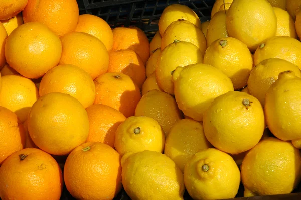 Oranges and lemons on display — Stock Photo, Image