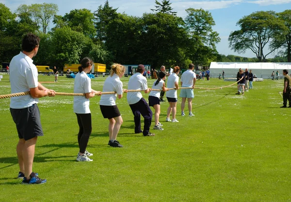 stock image Tug of war