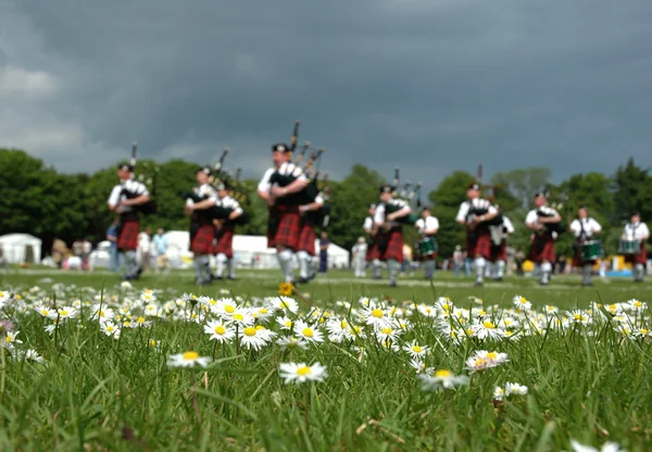 Skotskt säckpipeband marscherar på gräset — Stockfoto