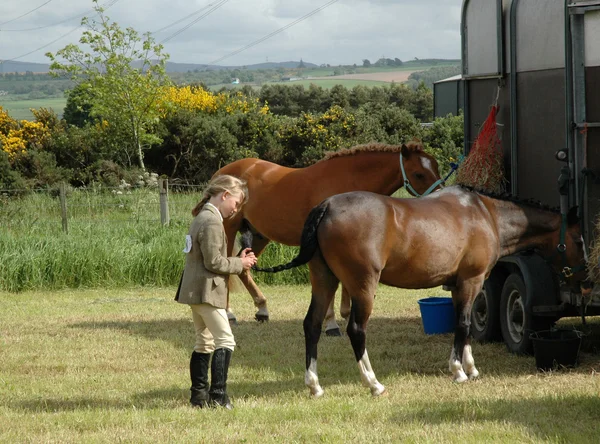 Pferd und das Mädchen — Stockfoto