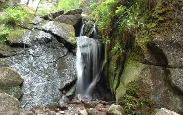 Uma cachoeira e uma pedra crescida em musgo — Fotografia de Stock