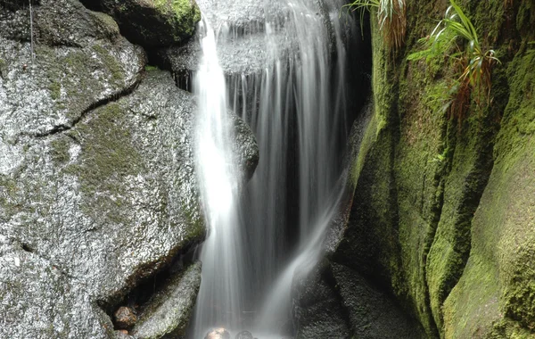 Una cascada y una piedra de musgo —  Fotos de Stock
