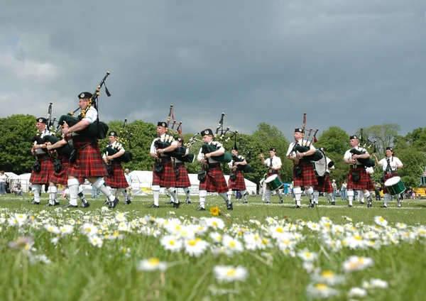 Шотландский трубный оркестр марширует по траве — стоковое фото