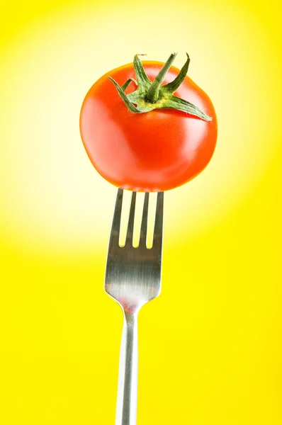 グラデーション背景赤いトマト — ストック写真