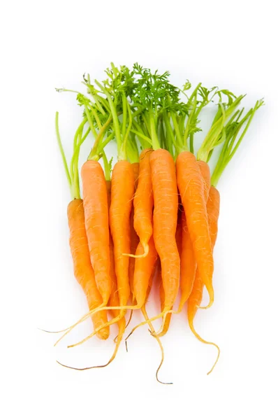 Fresh carrots isolated on the white — Stock Photo, Image