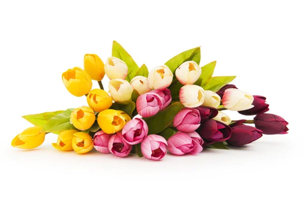 Барвисті тюльпани ізольовані на білому тлі — стокове фото