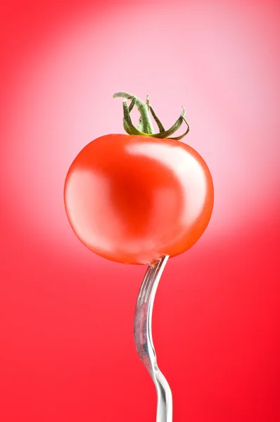 stock image Red tomato against gradient background