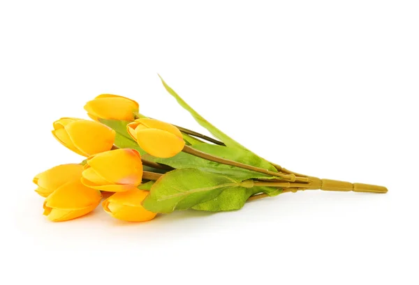 Цветные тюльпаны на белом фоне — стоковое фото