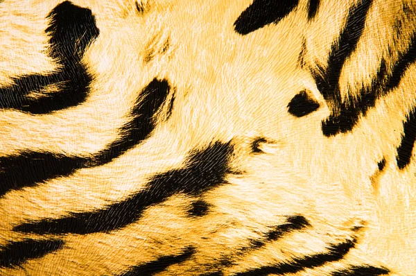 Imitatie van tiger leder als achtergrond — Stockfoto