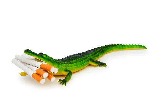 Крокодил с сигаретами, изолированными на белом — стоковое фото