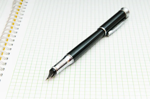 Пишущая ручка на бланке — стоковое фото