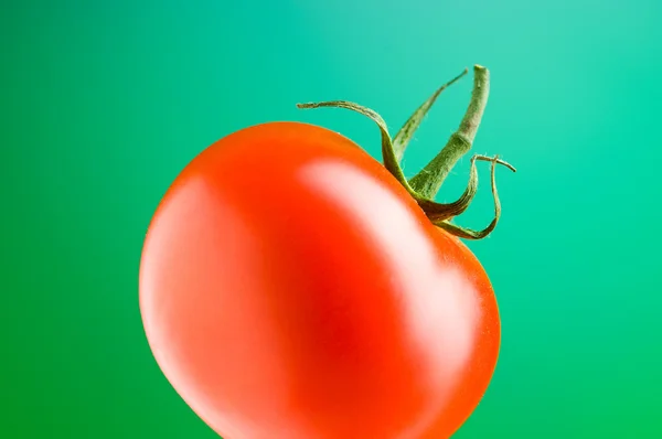 Red tomatoes isolated on the white background — Stock Photo, Image