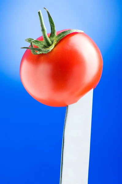 Красный помидор на градиентном фоне — стоковое фото
