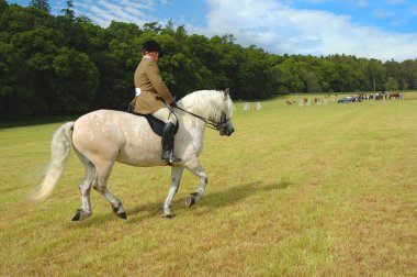 Horse with jockey at dressage tests in the park clipart