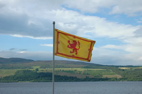 La bandera real de Escocia - León rampante —  Fotos de Stock