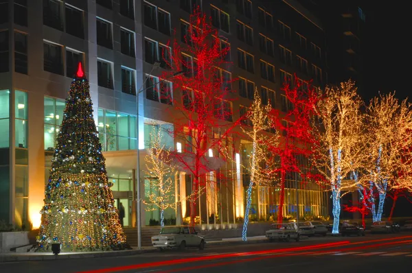 Χριστουγεννιάτικο δέντρο και δέντρα διακοσμημένα με φώτα στο Μπακού, Αζερμπαϊτζάν — Φωτογραφία Αρχείου