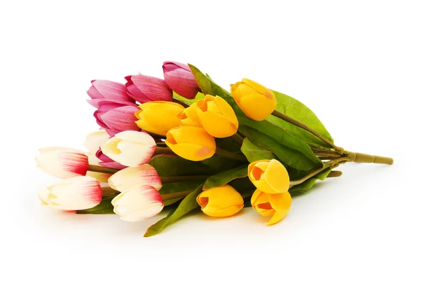 Kleurrijke tulpen geïsoleerd op de witte achtergrond — Stockfoto