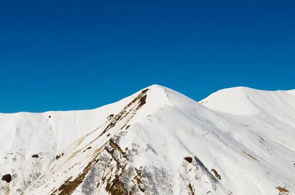冬天大雪下的高山 — 图库照片