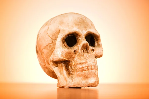 グラデーションの背景に対して人間の頭蓋骨 — Stock fotografie