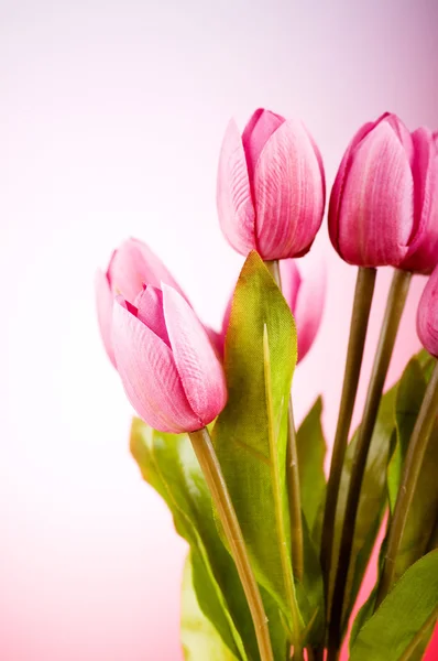 Boeket kleurrijke tulpen op tafel — Stockfoto