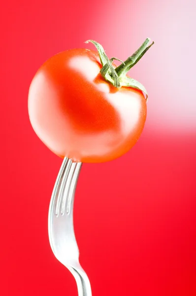 Czerwony pomidor przeciw tło gradientowe — Zdjęcie stockowe