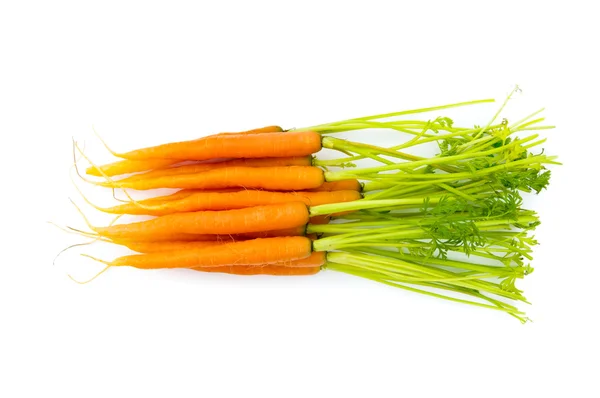 Zanahorias frescas aisladas en el blanco — Foto de Stock