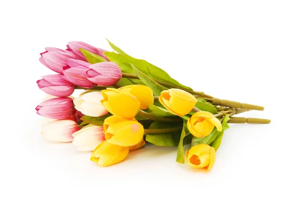 Kolorowe tulipany pojedyncze na białym tle — Zdjęcie stockowe