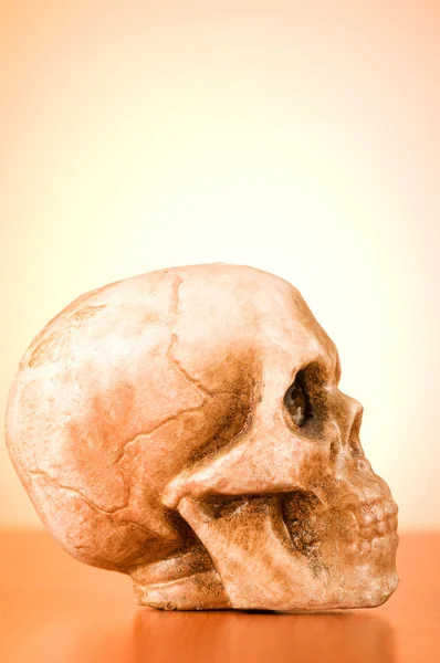 Cráneo de humano contra el fondo del gradiente —  Fotos de Stock
