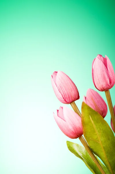 Kilka kwiatów tulipanów na stole — Zdjęcie stockowe