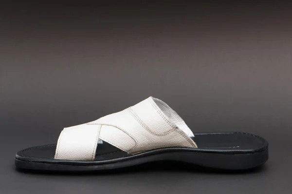 ファッション概念 - バック グラウンドでの夏の靴 — ストック写真