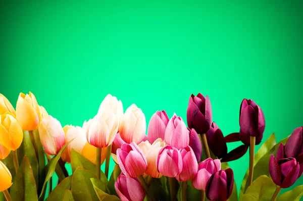 テーブルの上にカラフルなチューリップの花束 — ストック写真