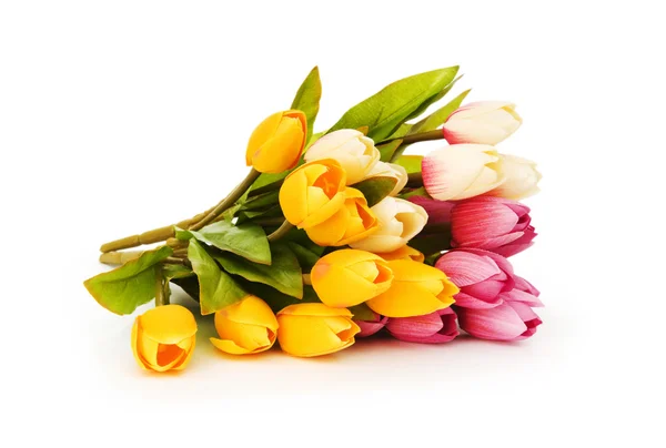 Tulipanes coloridos aislados sobre el fondo blanco — Foto de Stock