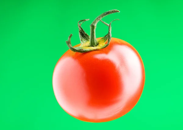 stock image Red tomato against gradient background