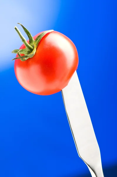 红番茄渐变背景 — 图库照片