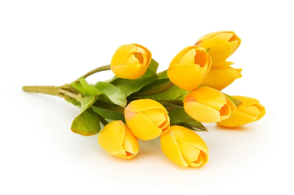 Barevné tulipány izolovaných na bílém pozadí — Stock fotografie
