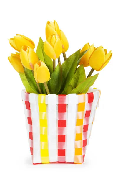 Pot met kleurrijke tulpen geïsoleerd op wit — Stockfoto