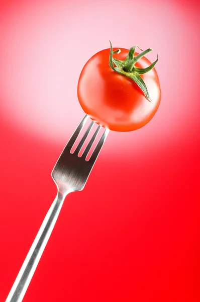 Красный помидор на градиентном фоне — стоковое фото