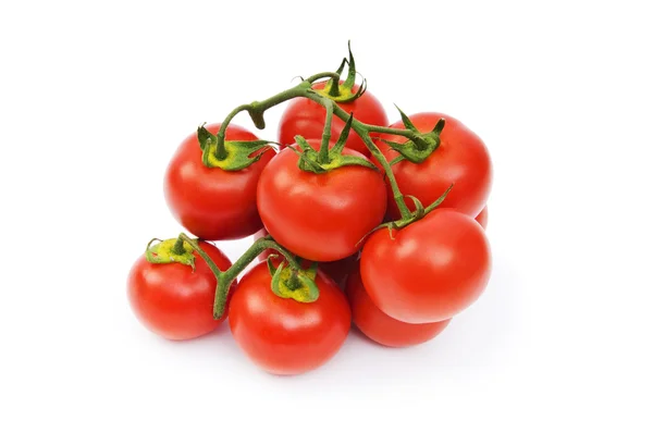 Tomates rouges isolées sur fond blanc — Photo