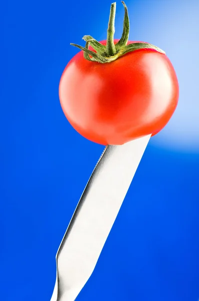 Tomate vermelho contra fundo gradiente — Fotografia de Stock