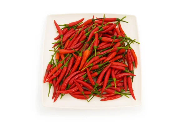 Varm paprika isolerat på den vita bakgrunden — Stockfoto