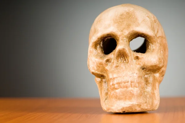 グラデーションの背景に対して人間の頭蓋骨 — Stock fotografie